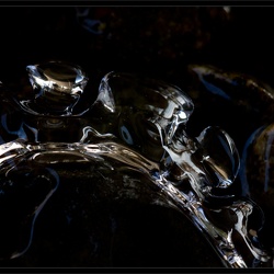 Faces In The Water