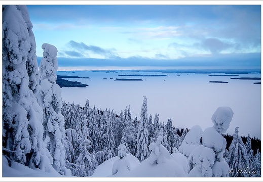 koli36