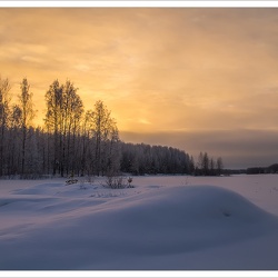 Nothing Burns Like The Cold