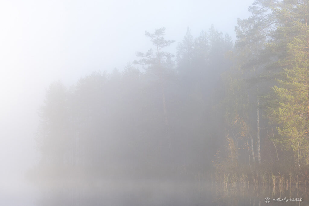 Sumuinen järvimaisema